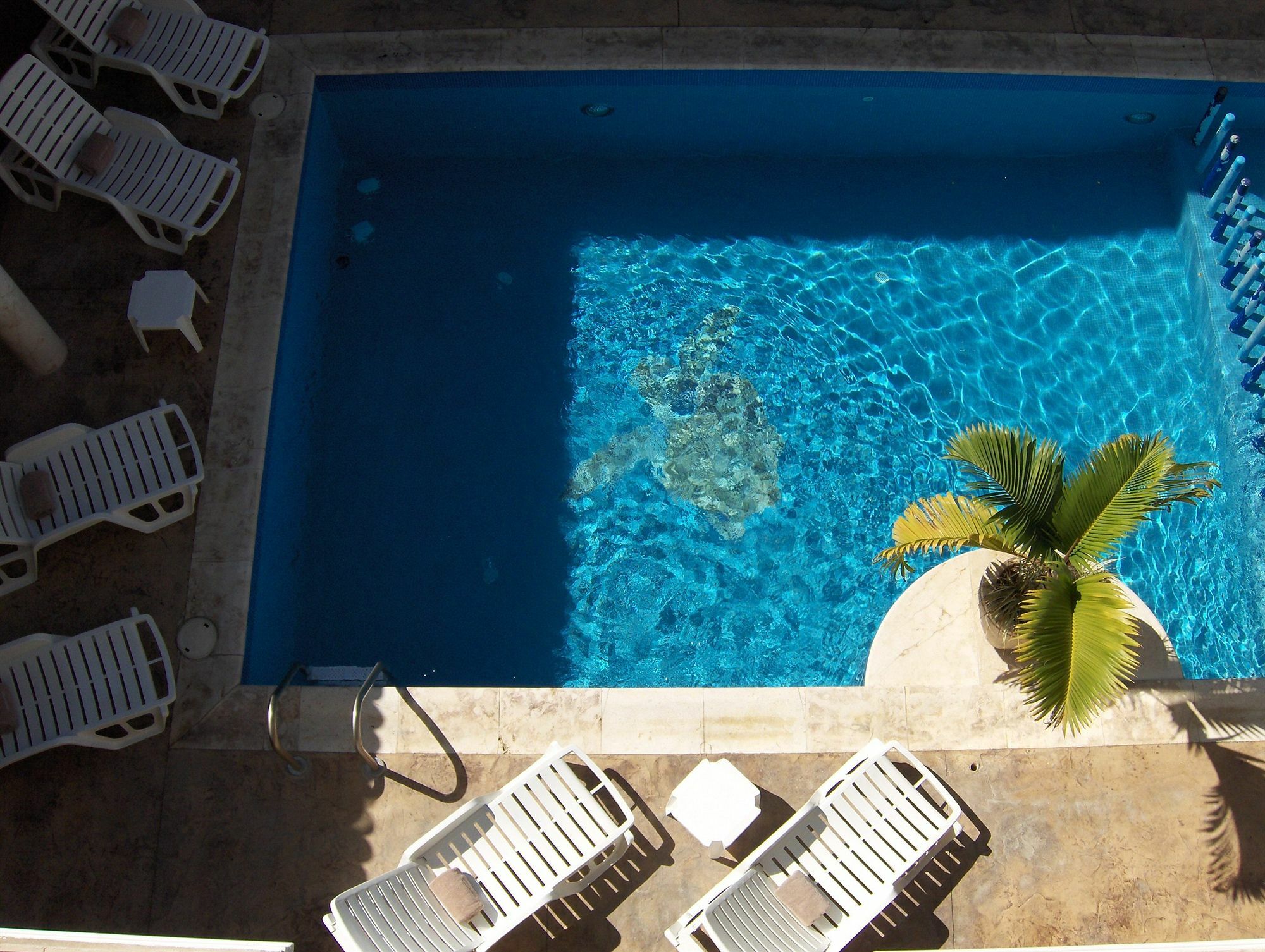 Hotel Dubrovnik Merida Bagian luar foto
